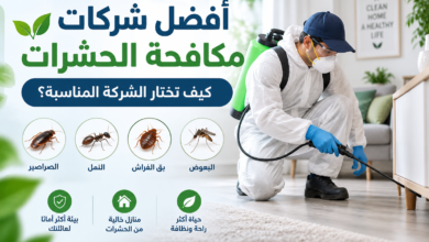 احسن شركات مكافحة الحشرات
