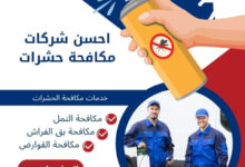 احسن شركات مكافحة حشرات