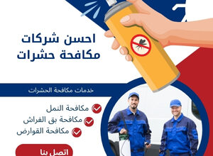 احسن شركات مكافحة حشرات