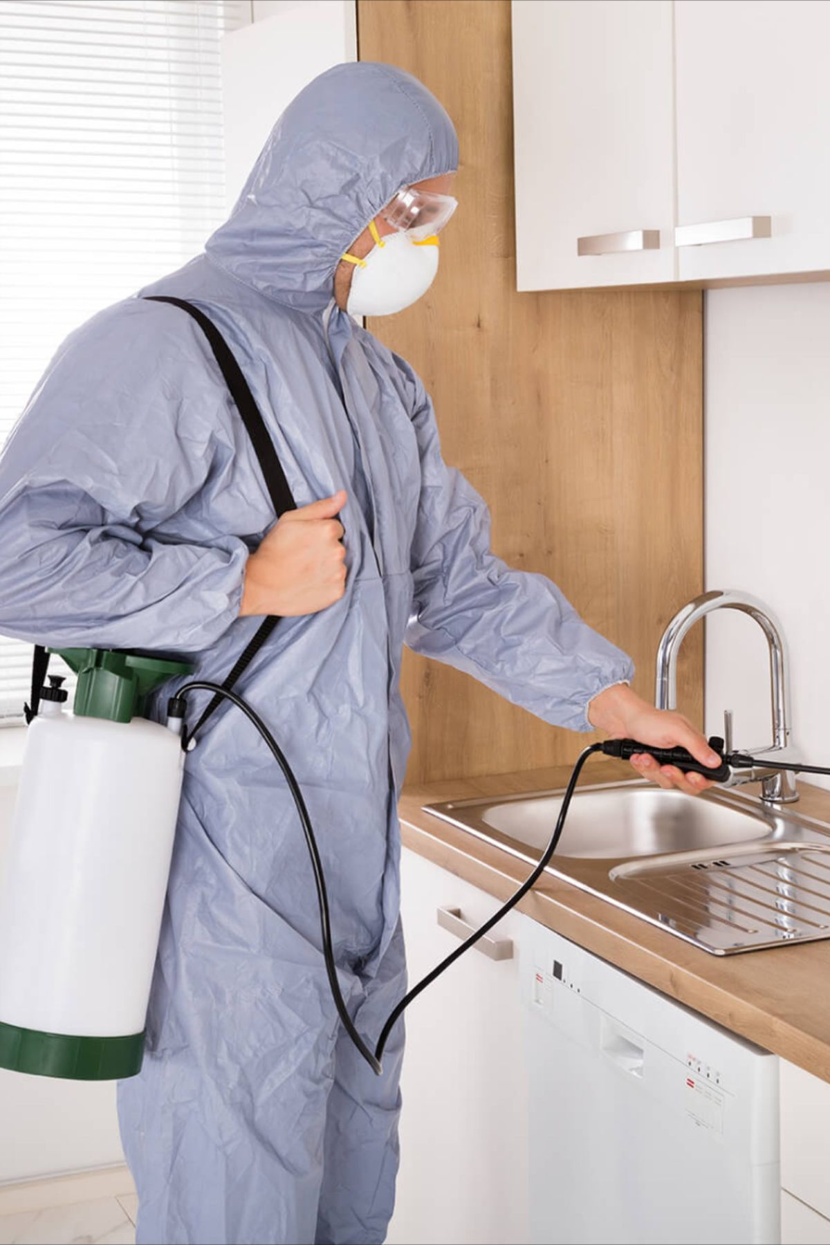 احسن شركات مكافحة حشرات