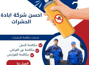 احسن شركة ابادة الحشرات