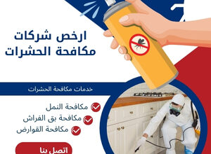 ارخص شركة رش الحشرات 9 ارخص شركات مكافحة الحشرات