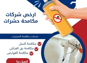 ارخص شركات مكافحة حشرات