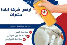 ارخص شركة ابادة حشرات