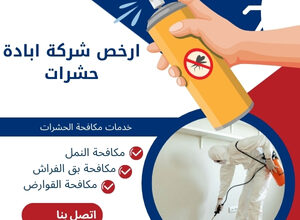 ارخص شركة ابادة حشرات