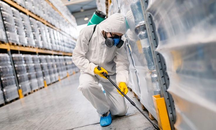 ارخص شركة رش حشرات