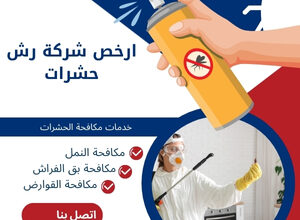 ارخص شركة رش حشرات