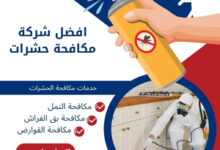 افضل شركة مكافحة حشرات 81 افضل شركة مكافحة حشرات