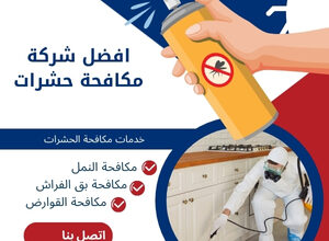 افضل شركة مكافحة حشرات