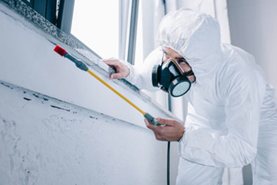 خدمات شركات مكافحة الحشرات