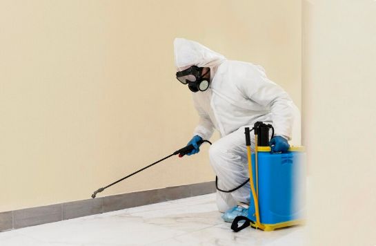 رش البيت بالمبيدات الحشرية