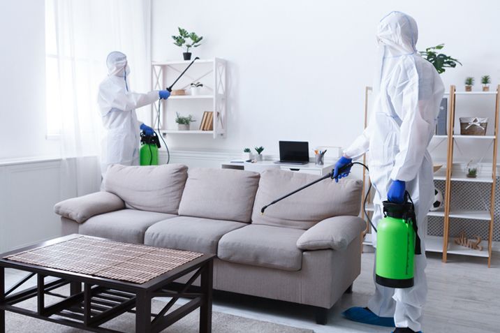 شركات رش المنازل