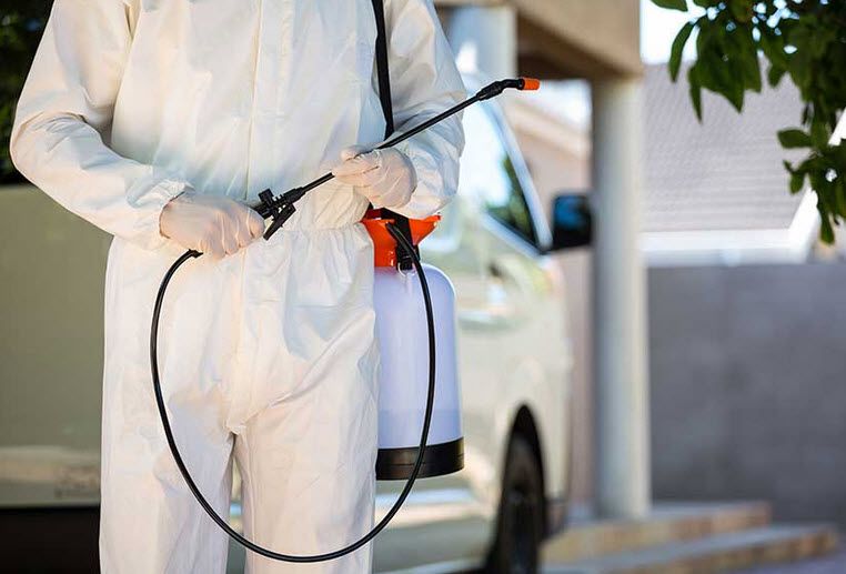 شركة بخ حشرات