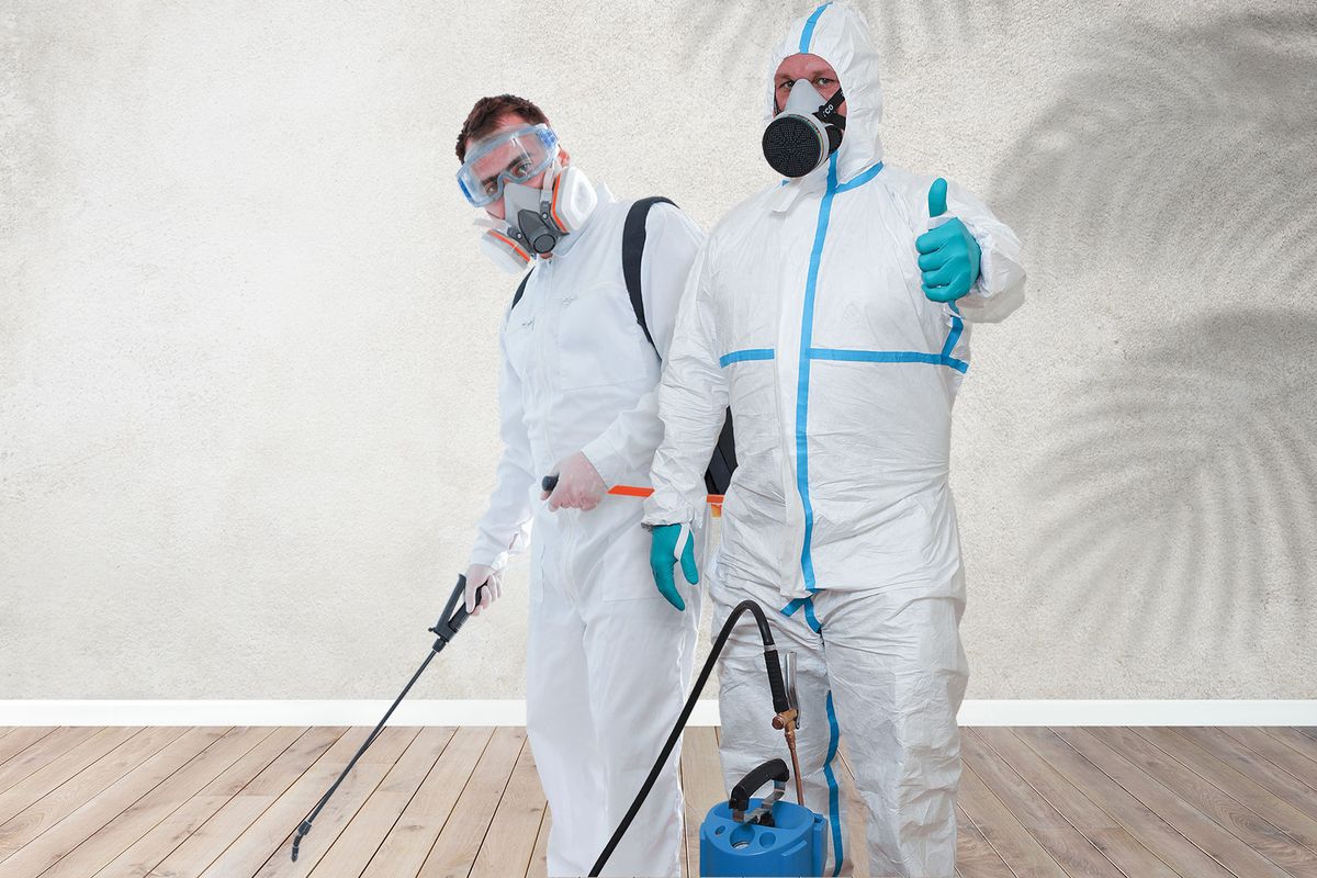 شركة لرش المنازل من الحشرات