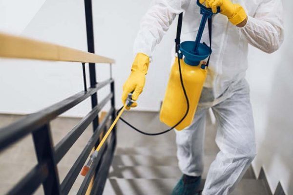 مميزات التعامل مع احسن شركات رش حشرات