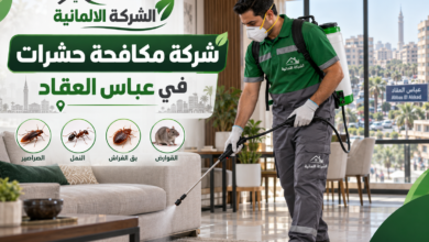 شركة مكافحة حشرات في عباس العقاد